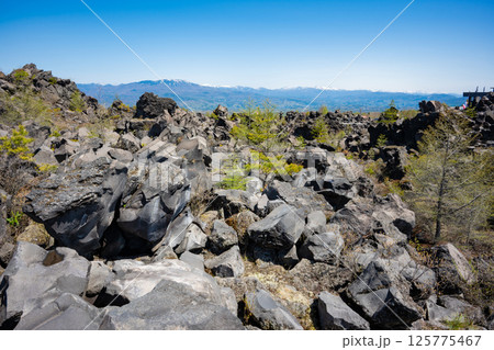 鬼押出し園からの大パノラマ 125775467