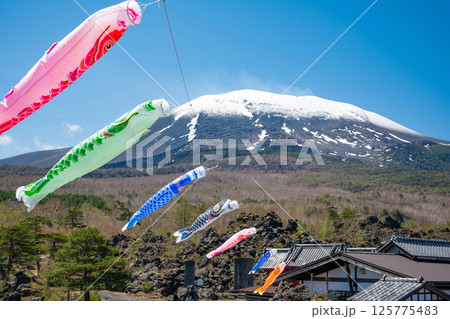 残雪の浅間山と鬼押出し園の鯉のぼり 125775483