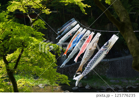 新緑におよぐ 新緑におよぐ 125776235