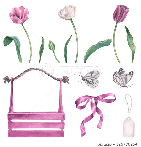 Wooden crate, tulips, butterflies, label and bow. Hand drawn watercolor illustration of garden blooming flowers and insects. Spring botanicals can be used as prints, greeting cards, posters, stickers 125776254