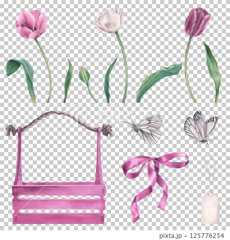 Wooden crate, tulips, butterflies, label and bow. Hand drawn watercolor illustration of garden blooming flowers and insects. Spring botanicals can be used as prints, greeting cards, posters, stickers 125776254