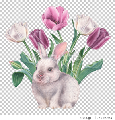 Cute baby rabbit with tulips growing behind it. Hand drawn watercolor illustration of bunny in purple and white flowers for Easter design on isolated background. Little farm animal. For greeting card 125776263