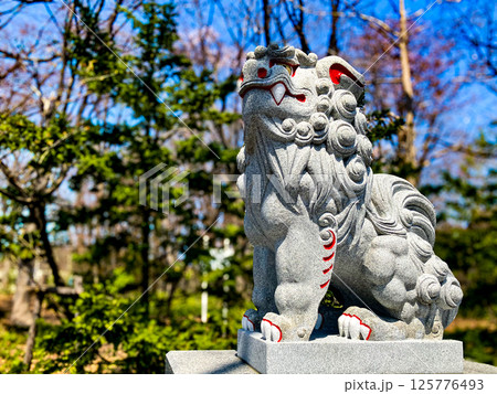 厚別神社（あしりべつ神社） 狛犬 札幌市清田区 春 125776493