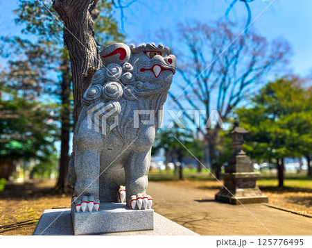 厚別神社(あしりべつ神社) 狛犬 札幌市清田区 春 厚別神社(あしりべつ神社) 狛犬 札幌市清田区 春 125776495
