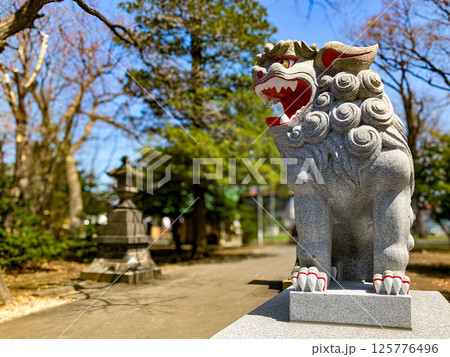 厚別神社（あしりべつ神社） 狛犬 札幌市清田区 春 125776496