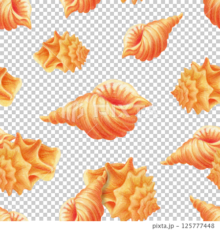Sea shell seamless pattern with hand drawn tropical beach conches. One rapport of endless summer print for bedding, fabric, wallpaper, wrapping paper, textile, packaging or themed postcard decoration Sea shell seamless pattern with hand drawn tropical beach conches. One rapport of endless summer print for bedding, fabric, wallpaper, wrapping paper, textile, packaging or themed postcard decoration 125777448