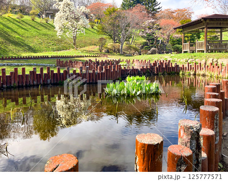 春の小樽にある手宮公園 125777571