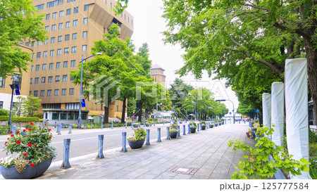 日本大通りの春 日本大通りの春 125777584