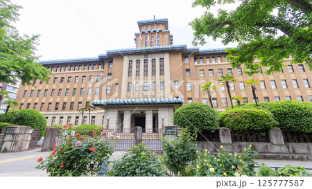 日本大通りの春 日本大通りの春 125777587