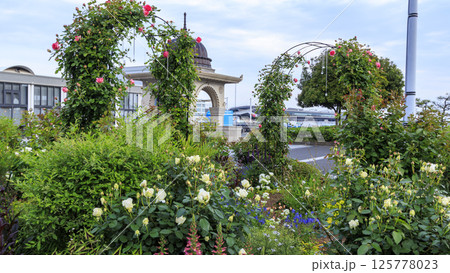 山下公園の春 125778023