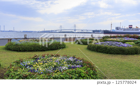 山下公園の春 125778024