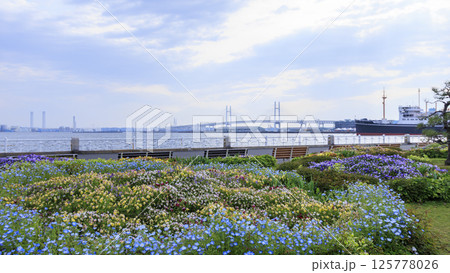 山下公園の春 125778026