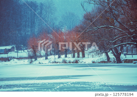 Frozen lake in winter. Winter rural landscape at snowfall Frozen lake in winter. Winter rural landscape at snowfall 125778194