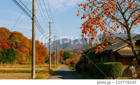 柿の実が色づく秋の田舎道 125778243