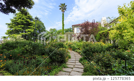 港の見える丘公園の春 125778365