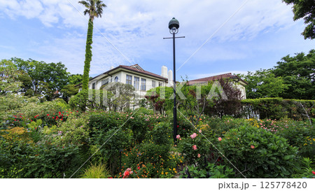 港の見える丘公園の春 125778420