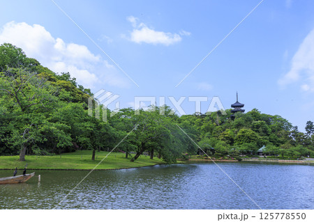 横浜の三渓園の春 横浜の三渓園の春 125778550