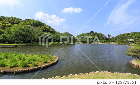 横浜の三渓園の春 横浜の三渓園の春 125778551