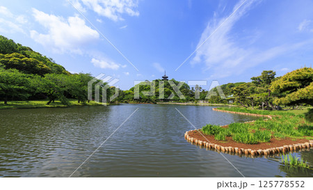 横浜の三渓園の春 横浜の三渓園の春 125778552
