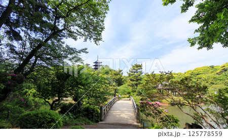 横浜の三渓園の春 125778559