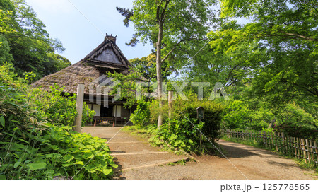 横浜の三渓園の春 125778565