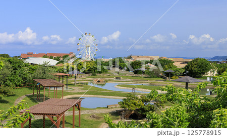 入場料無料の横須賀市ソレイユの丘の春 入場料無料の横須賀市ソレイユの丘の春 125778915