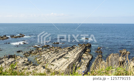 荒崎公園の春 荒崎公園の春 125779155