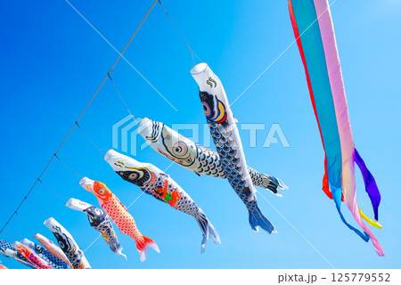 糸魚川市能生の弁天岩と青い海、空に舞う鯉のぼり｜5月の風景 125779552