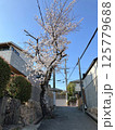 桜・山本台 125779688