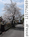 桜・山本台 125779689