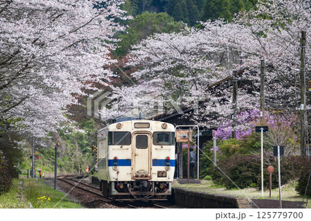 桜の嘉例川駅 125779700