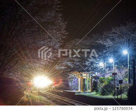 夜桜の嘉例川駅 夜桜の嘉例川駅 125780034