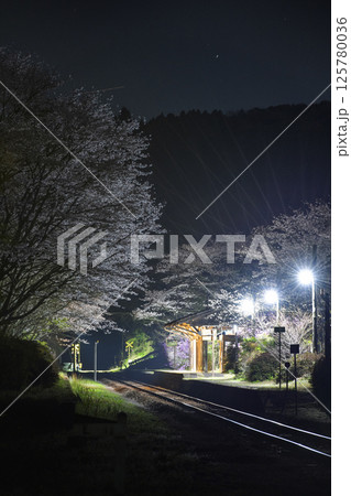 夜桜の嘉例川駅 125780036
