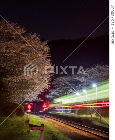 夜桜の嘉例川駅 125780037