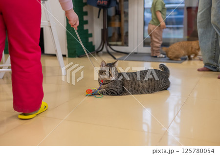 The cat is lying on the floor and playing.  125780054