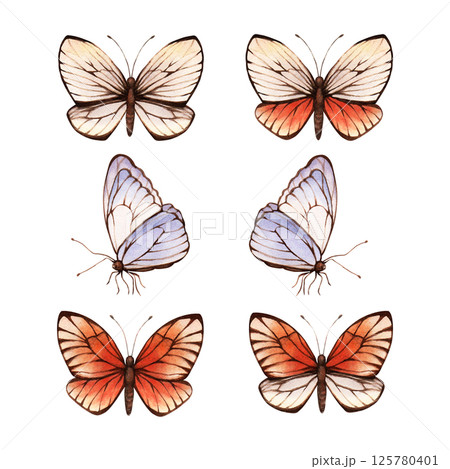 A set of beige, brown, orange butterflies. Hand drawn light color watercolor illustration. Isolated on white background. For clip art greeting cards invitation label package A set of beige, brown, orange butterflies. Hand drawn light color watercolor illustration. Isolated on white background. For clip art greeting cards invitation label package 125780401