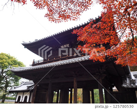 紅葉に包まれた鐘楼『和風イメージ』(京都) 125780530