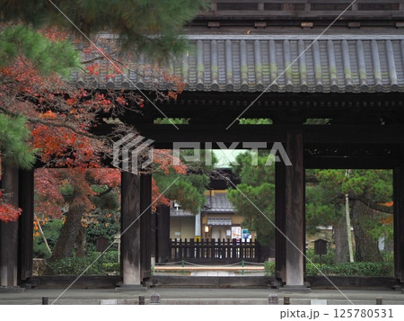 紅葉に包まれた山門『和風イメージ』(京都) 紅葉に包まれた山門『和風イメージ』(京都) 125780531