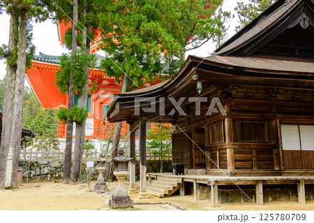 世界遺産高野山　根本大塔と愛染堂　壇上伽藍　和歌山県 125780709