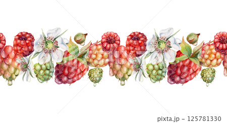 Raspberry ripe garden berries, flowers in water dew drops hand drawn in watercolor. Seamless isolated banner garland. Home preserves, textile washi tape, food store decor, recipe book, dessert menu 125781330