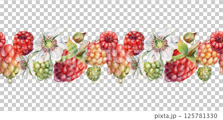 Raspberry ripe garden berries, flowers in water dew drops hand drawn in watercolor. Seamless isolated banner garland. Home preserves, textile washi tape, food store decor, recipe book, dessert menu 125781330