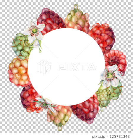 Raspberry berries flowers wreath in water splash, dew drops hand drawn in watercolor. Ripe garden dewberry cloudberry mulberry loganberry. Isolated circle frame. Fresh grocery, preserves recipe book Raspberry berries flowers wreath in water splash, dew drops hand drawn in watercolor. Ripe garden dewberry cloudberry mulberry loganberry. Isolated circle frame. Fresh grocery, preserves recipe book 125781348
