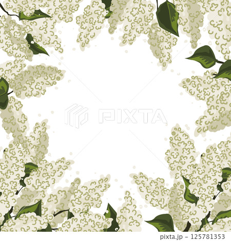Fresh white lilac flowers frame. Lilacs brunches border. Vector isolated illustration 125781353