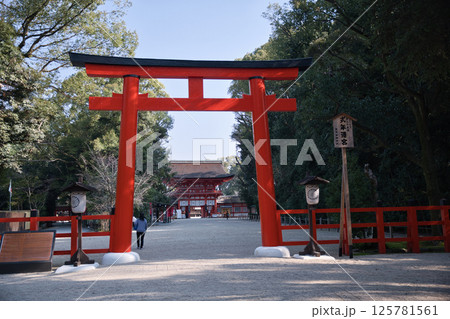 下鴨神社 表参道、二の鳥居と楼門5 下鴨神社 表参道、二の鳥居と楼門5 125781561