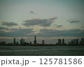 A stunning skyline with the majestic statue of liberty in front 125781586
