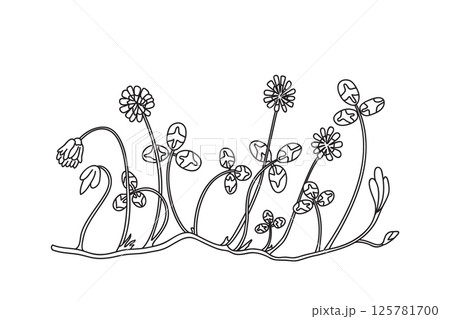Line art botanical floral border isolated on white background. Hand drawn outline doodle clover plant with Flowers Stems Leaves vector illustration. Graphic design doodle element for Birthday Wedding 125781700