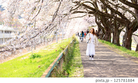 woman visit visit the cherry blossom in hitome senbonzakura in sendai, Japan	 125781884
