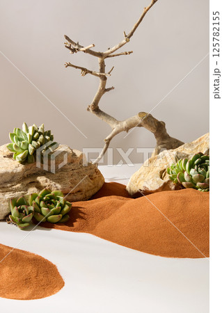 Succulents grow on rough rocks and are scattered across the sand. Dry branches have roots that penetrate deep into the ground, the branches are dry and pointed, and have no leaves. Desert concept. 125782155