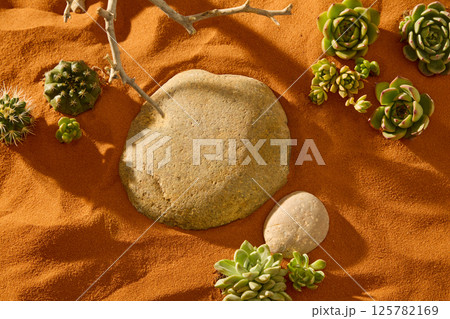 Top view of round pebbles placed on dry sand, the surface of the stones is quite smooth with a few small holes. Succulents grow in the shape of multi-petaled flowers, growing in groups in the desert 125782169