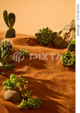 Composition of desert plants such as cacti, succulents, cereus jamacaru, etc. Clustered together and scattered on the desert. Sunlight shines in, the shadows of the objects fall on the dry sand. 125782183